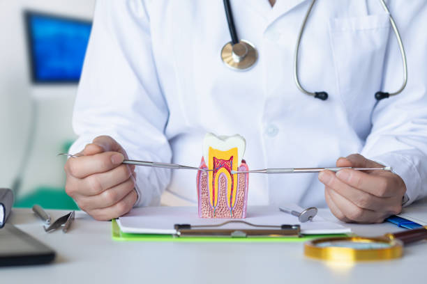 Best Chipped Tooth Repair Near Me  in Crompond, NY